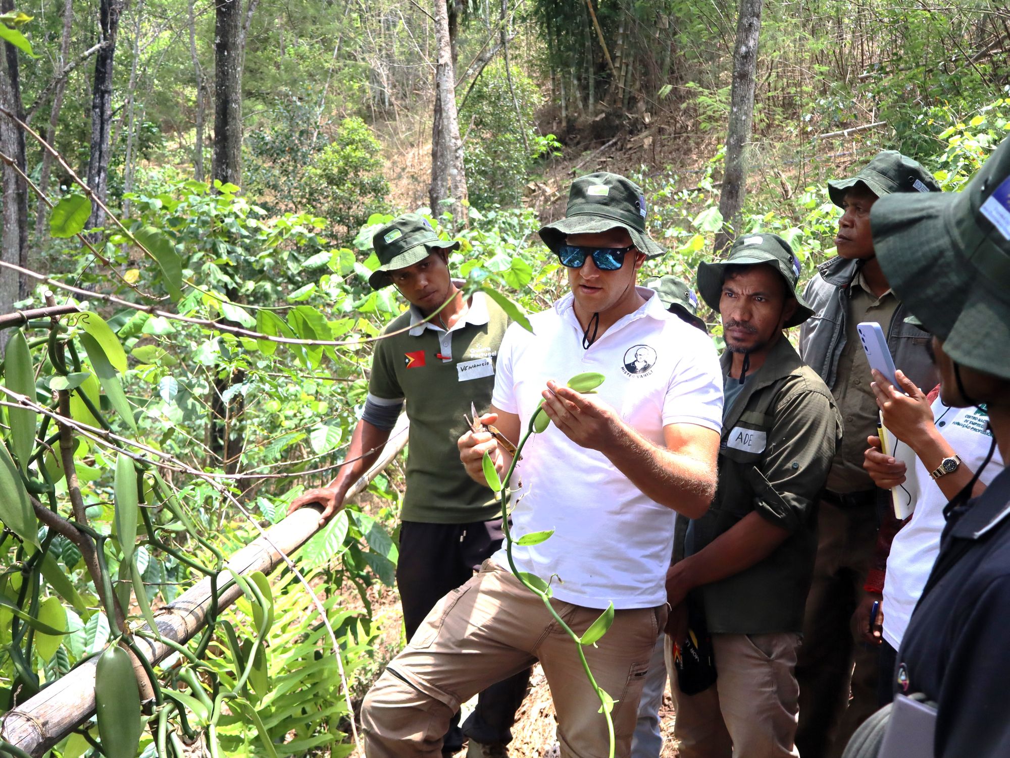 Empowering Timor-Leste&rsquo;s vanilla farmers through intensive training of trainers on vanilla cultivation
